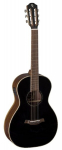 Elektroakustinė gitara Baton Rouge X54S/PE-BT