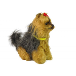 Interaktyvus &scaron;uo Breed Yorkshire Terrier, rudas