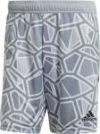 &Scaron;ortai vyrams Adidas, pilki, M