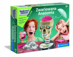 Kaukolės modelis Clementoni