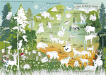 Coloring page animals map of Poland