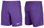 &Scaron;ortai vyrams Nike Dry Park III NB K BV6855 547, violetiniai