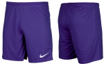 Maudymosi &scaron;ortai berniukams Nike Junior Dry Park III BV6865 547, violetiniai