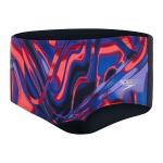 Maudymosi &scaron;ortai vyrams Speedo, įvairių spalvų