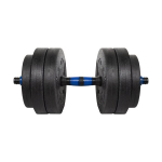 Keičiamo svorio svarmuo Rebel Active 1x20kg, su jungtimi