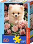 Dėlionė Castorland Pomeranijos &scaron;uniukas tarp rožių, 60 d.