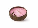 Kvapnioji žvakė &bdquo;Tropikalia Frozen Cranberry&ldquo;, kokoso va&scaron;kas, 500 g
