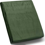 STARPYNG Žalia brezento danga, 3 x 3m, 100g/m&sup2;