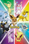 Pokemon Eevee Evolution, 61x91,5 cm