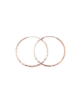 Sidabriniai auskarai Beneto AGUC2439 / SCS-ROSE