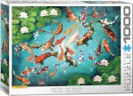 Dėlionė Eurographics, 6000-5696, Colorful Koi, 1000 d.