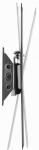 TV laikiklis Gembird WM-42T-03 23"-42"