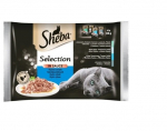 Sheba Selection in Sauce rinkinys su žuvimi, 13 x 340 g