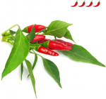 Click & Grow SGR67X3