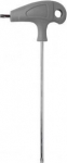 T formos raktas Torx T15 Proline 48539