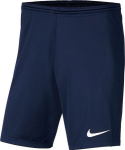 &Scaron;ortai vyrams Nike BV6855 410, mėlyni