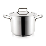 Orion puodas, 4,6 l, Puodas plienas su dangčiu ANETT 20 cm, 4,6 l