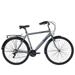 Miesto dviratis Bisan Hardy 28", pilkas