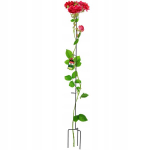 Gėlių stovo stovo gnybtas atraminis plieninis rožėms 140cm