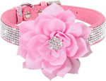 Antkaklis &scaron;unims Rose Flower, 31-37cm, rožinis