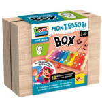 Montessori klausos dėžutė Dante Lisciani 105489