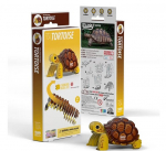 Konstruktorius 3D Eugy Sausumos vėžlys