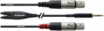 Cordial Cfy 1.8 Wff Y-adapterio kabelis, 3.5 mm stereo lizdas auksu į 2 x Xlr moteri&scaron;kas, 1.8 m