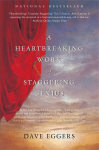 A Heartbreaking Work of Staggering Genius, A Heartbreaking Work of Staggering Genius