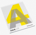 Bloknotas langeliais Esselte, A4/100 lapų