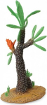 Williamsonia kaktuso medis - Collecta