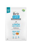 Brit Care Grain-free didelės veislės jauniems &scaron;uniukams su la&scaron;i&scaron;a, 3 kg (nauja pakuotė)
