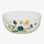 Ambition salotinė Fiori, 14 cm