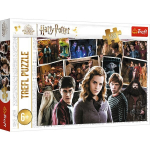Dėlionė Trefl Harry Potter, 160 det.