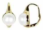 Sidabriniai auskarai moterims JwL Luxury Pearls JL0532 sJL0532