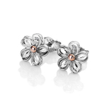 Hot Diamonds Sidabriniai gėlių auskarai su deimantais Forget me not DE618 sHD1446