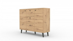Komoda Besa 2D3S, ruda/juoda