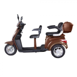 Elektrinis triratis Vista2 1000 W 20 Ah AC, rudas