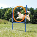 Trixie barjeras su žiedu Agility