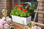 Gėlių vazonas Begonia Dłuto 56cm baltas su įdėklu