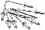 Specializuoti kniedės 4,8x24mm, 50 vnt.