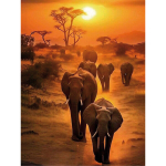 Deimantinė mozaika 40x50 cm, Saulėlydžio Safaris, varvikas, LG384e