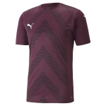 PUMA futbolo mar&scaron;kinėliai vyrams PUMA teamGLORY Jersey Grape Wine - 70501724, rudi