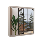 Stumdomoji spinta ADRK Furniture AUSTIN 200 ruda veidrodis masyvi mediena
