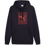 Vyri&scaron;ka džemperis Puma Ess Logo Lab Hoodie FL, tamsiai mėlyna 684669 16, S