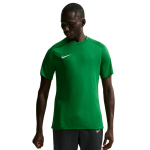 Vyri&scaron;kas mar&scaron;kinėlis Nike Dri-Fit Park VIII, žali, HV8173 302, L