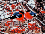 Pie&scaron;imo rinkinys Sniegenos 40x50