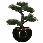 Dirbtinis Bonsai medelis vazone