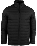 Striukė vyrams 4F M239 4FAW23TDJAM239 20S, juoda