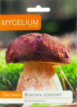 Pu&scaron;yninis baravykas Boletus pinophilus