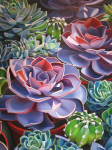 Deimantinė mozaika su rėmeliu TM Varvikas - Succulent LE153e 30x40 cm